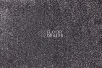 Ковролин Bonkeel Zea 98 фото 1 | FLOORDEALER