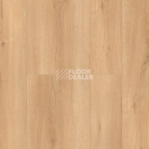 Ламинат Alpine Floor Intensity 12мм LF101-24 Дуб Виченца фото 1 | FLOORDEALER