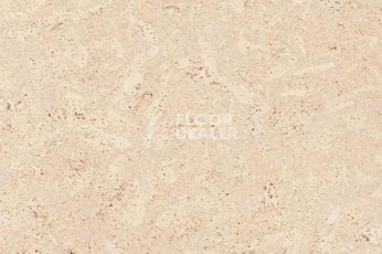 Пробковое покрытие Eco Cork MADEIRA CREME фото 1 | FLOORDEALER