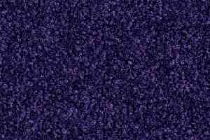 Ковровая плитка Balsan Bolero 895 фото  | FLOORDEALER