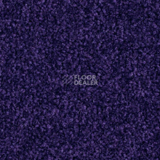 Ковровая плитка Balsan Bolero 895 фото 1 | FLOORDEALER