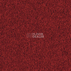 Ковролин Balsan Serenite 570 фото 1 | FLOORDEALER