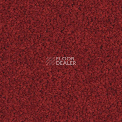 Ковролин Balsan Serenite 570 фото 1 | FLOORDEALER