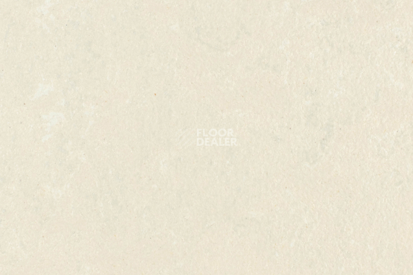 Линолеум Forbo Marmoleum Solid Concrete 3729-372935 mica фото 1 | FLOORDEALER