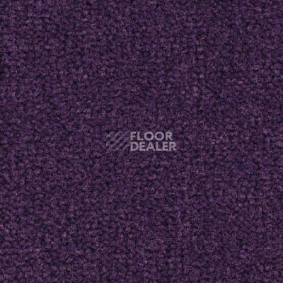 Ковролин Balsan Les Best 899 фото 1 | FLOORDEALER