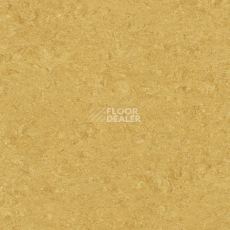 Линолеум Gerflor Marmorette DLW  2mm 0072 Golden Yellow фото 1 | FLOORDEALER