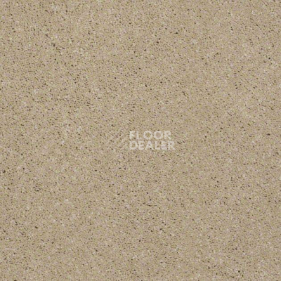 Ковролин Shaw Design Texture Platinum 110 фото 1 | FLOORDEALER