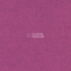 Ковролин Finett Feinwerk 753502 фото 1 | FLOORDEALER