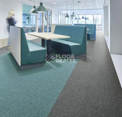 Forbo Tessera basis pro 4357 Mid Grey фото 2 | FLOORDEALER