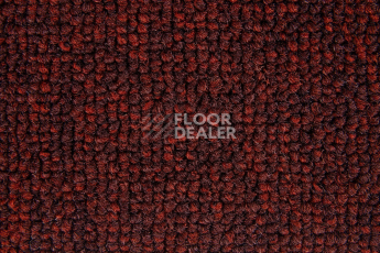 Big  Studio 443 фото 2 | FLOORDEALER