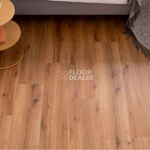 Vinilpol Glue 2мм 8833 EIR ДУБ САН-РЕМО фото 9 | FLOORDEALER