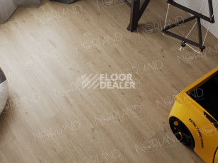 Norland Sigrid Superior 8мм Abbi 1008-1 ABA фото 4 | FLOORDEALER