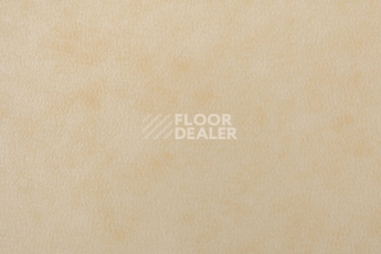 Forbo Emerald Standart 72411 фото 2 | FLOORDEALER