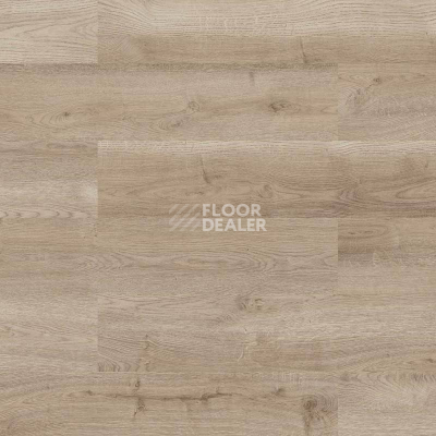 Пробковое покрытие Wood Go LJUY001  Oak Light Nature фото 1 | FLOORDEALER
