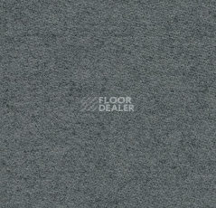 Ковролин Forbo Flotex wonderlab 07 900262 Slate фото 1 | FLOORDEALER