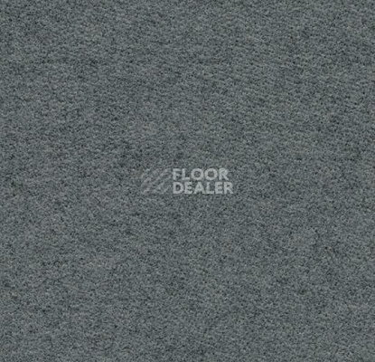 Ковролин Forbo Flotex wonderlab 07 900262 Slate фото 1 | FLOORDEALER