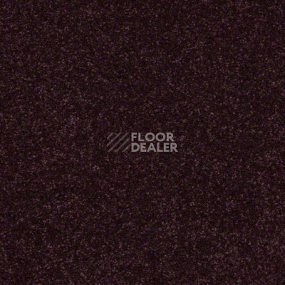 Ковролин Shaw Design Texture Platinum 921 фото 1 | FLOORDEALER