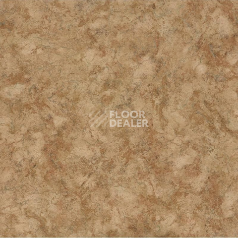 Линолеум Tarkett Force Nubia 3 фото 1 | FLOORDEALER