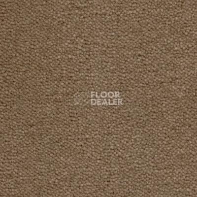 Ковролин Creatuft Sheba 1585 фото 1 | FLOORDEALER