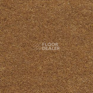 Ковролин AW Hermes 54 фото 1 | FLOORDEALER