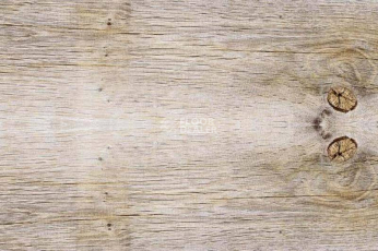 Пробковое покрытие Wood SIBIRIAN LARCH LIMEWASHED фото 1 | FLOORDEALER