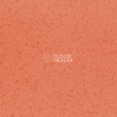 Линолеум DLV Flooring Medical Safety 8645 фото 1 | FLOORDEALER