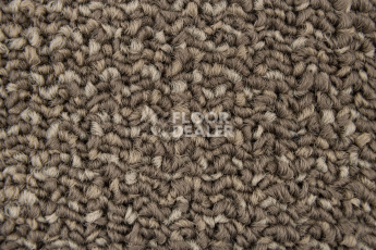 Neuflor Sandunes 300506 фото 2 | FLOORDEALER