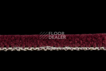 Balsan Les Best 590 фото 3 | FLOORDEALER