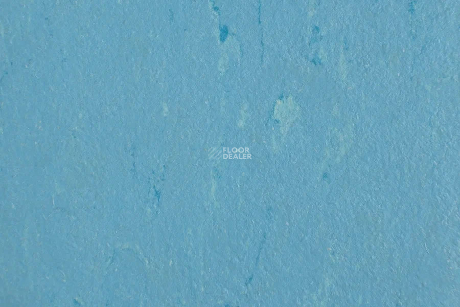Forbo Marmoleum Solid Piano 3644-364435 Nordic blue фото 2 | FLOORDEALER