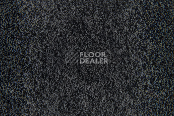 Forbo Flotex Colour Calgary 50*50 t590010 Calgary Ash фото 3 | FLOORDEALER