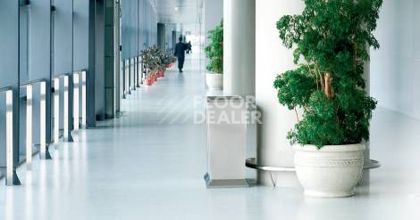 Линолеум Grabo EcoSafe EcoSafe фото 1 | FLOORDEALER