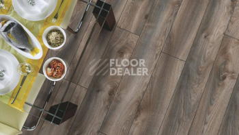 Kronotex Mammut Plus d4792 Дуб Серый Макро фото 4 | FLOORDEALER