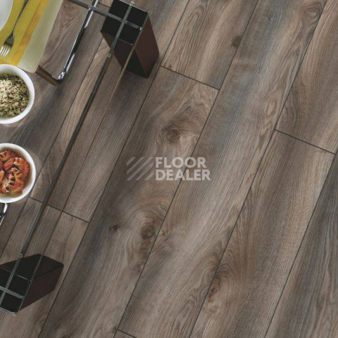 Kronotex Mammut Plus d4792 Дуб Серый Макро фото 4 | FLOORDEALER