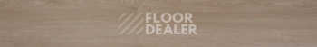 Evofloor Optima Click 4.2мм Дуб Гавана фото 3 | FLOORDEALER