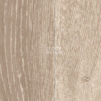 Линолеум Gerflor Taralay Initial Compact (wood) 0588 Noma Clair фото 1 | FLOORDEALER