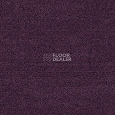 Ковролин Balsan Sierra 891 фото 1 | FLOORDEALER