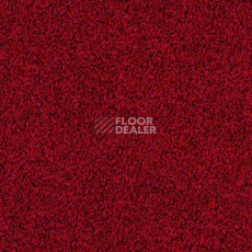 Ковролин Desso Torso-Brlm 4202 фото 1 | FLOORDEALER