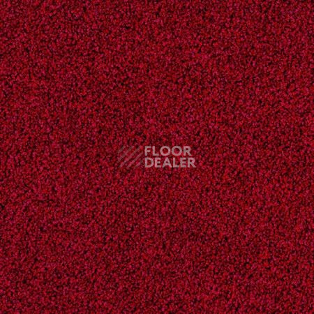 Ковролин Desso Torso-Brlm 4202 фото 1 | FLOORDEALER