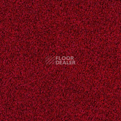 Ковролин Desso Torso-Brlm 4202 фото 1 | FLOORDEALER