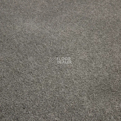 Haima Noble 07 фото 6 | FLOORDEALER