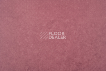 Forbo Emerald Standart 72412 фото 3 | FLOORDEALER