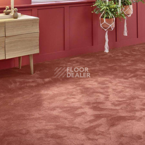 Vorwerk Superior 1067 Mira Vorwerk 1n49 фото 2 | FLOORDEALER