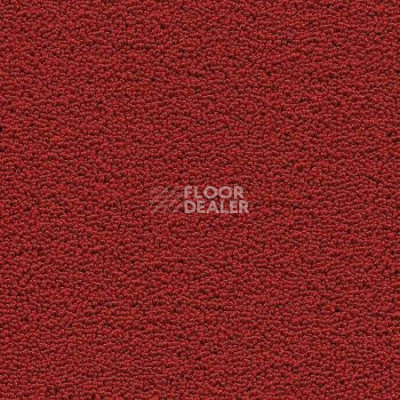 Ковролин Desso Marathon 4218 фото 1 | FLOORDEALER