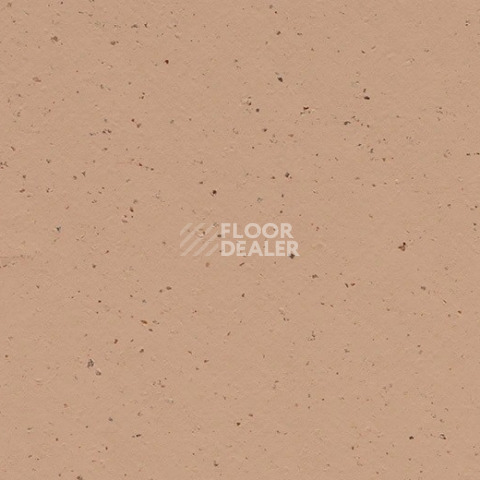 Линолеум Forbo Marmoleum Decibel on Order 359235 salted caramel фото 1 | FLOORDEALER
