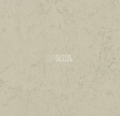Линолеум Forbo Marmoleum Decibel on Order 375735 Pluto фото 1 | FLOORDEALER