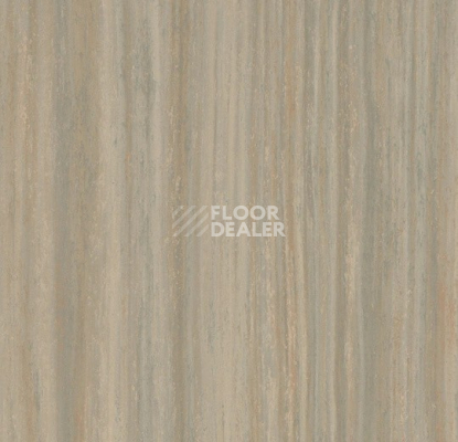 Линолеум Forbo Marmoleum Striato 5253 bleached gold фото 1 | FLOORDEALER