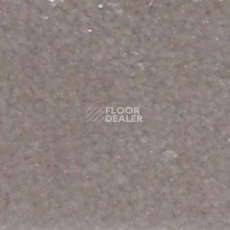 Ковролин Shaw all That Jazz 21145 фото 1 | FLOORDEALER