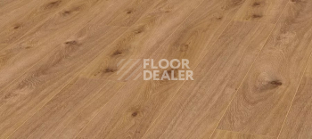 Ламинат Kronotex Aqua Amazone 10мм D4169 Дуб Престиж светлый фото 1 | FLOORDEALER
