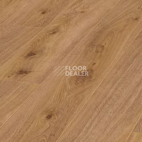 Ламинат Kronotex Aqua Amazone 10мм D4169 Дуб Престиж светлый фото 1 | FLOORDEALER