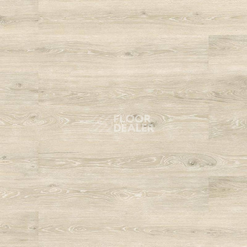 Пробковое покрытие Wood Essence D8G1001  Washed Arcaine Oak фото 1 | FLOORDEALER